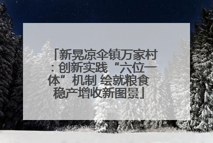 新晃凉伞镇万家村：创新实践“六位一体”机制 绘就粮食稳产增收新图景