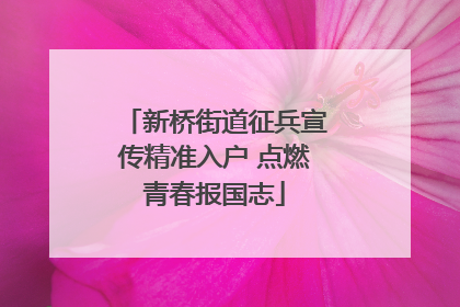 新桥街道征兵宣传精准入户 点燃青春报国志