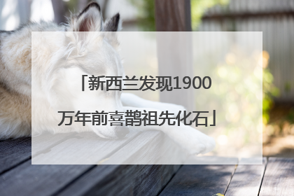新西兰发现1900万年前喜鹊祖先化石