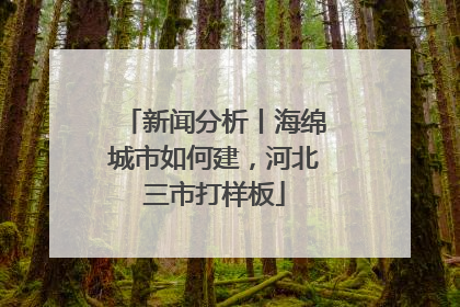 新闻分析丨海绵城市如何建，河北三市打样板