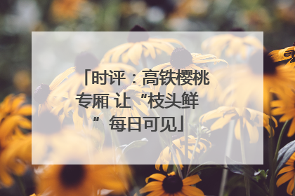 时评：高铁樱桃专厢 让“枝头鲜”每日可见