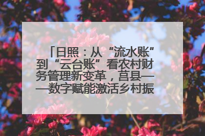 日照：从“流水账”到“云台账”看农村财务管理新变革，莒县——数字赋能激活乡村振兴“一池春水”