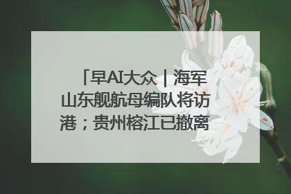早AI大众｜海军山东舰航母编队将访港；贵州榕江已撤离转移群众超4万人