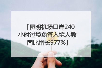 昆明机场口岸240小时过境免签入境人数同比增长977%