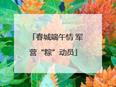 春城端午情 军营“粽”动员