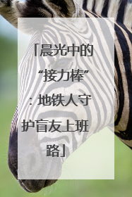 晨光中的“接力棒”：地铁人守护盲友上班路