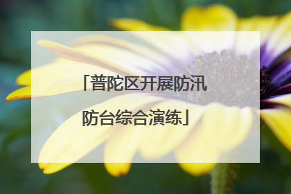 普陀区开展防汛防台综合演练