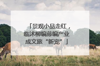 景观小品走红，临沭柳编藤编产业成文旅“新宠”