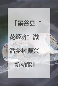 景谷县“花经济”激活乡村振兴新动能