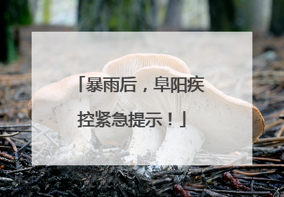 暴雨后，阜阳疾控紧急提示！