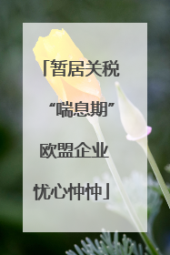 暂居关税“喘息期” 欧盟企业忧心忡忡