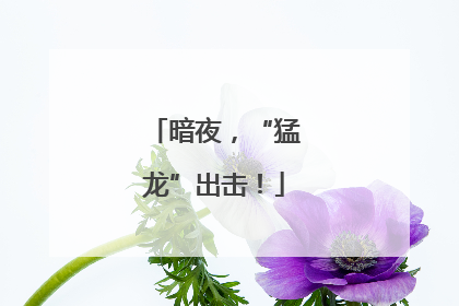 暗夜，“猛龙”出击！