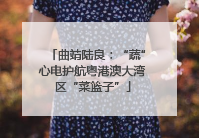 曲靖陆良：“蔬”心电护航粤港澳大湾区“菜篮子”