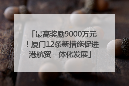 最高奖励9000万元！厦门12条新措施促进港航贸一体化发展