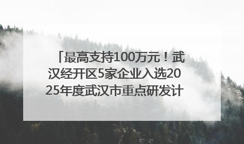最高支持100万元！武汉经开区5家企业入选2025年度武汉市重点研发计划拟立项项目名单