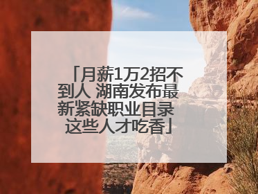 月薪1万2招不到人 湖南发布最新紧缺职业目录 这些人才吃香