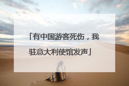 有中国游客死伤，我驻意大利使馆发声