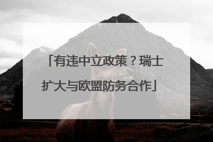 有违中立政策？瑞士扩大与欧盟防务合作
