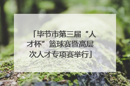 毕节市第三届“人才杯”篮球赛暨高层次人才专项赛举行