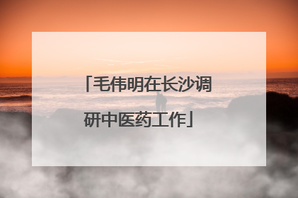 毛伟明在长沙调研中医药工作
