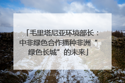 毛里塔尼亚环境部长：中非绿色合作播种非洲“绿色长城”的未来
