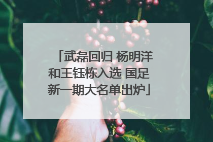 武磊回归 杨明洋和王钰栋入选 国足新一期大名单出炉