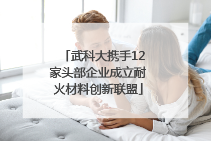 武科大携手12家头部企业成立耐火材料创新联盟