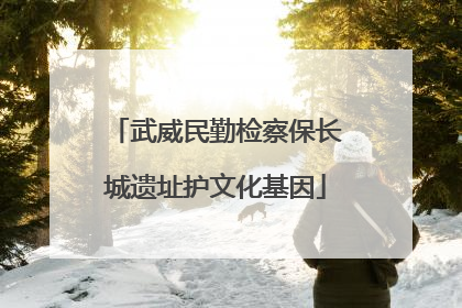 武威民勤检察保长城遗址护文化基因