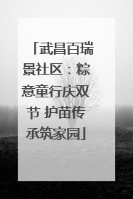 武昌百瑞景社区：粽意童行庆双节 护苗传承筑家园