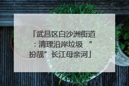武昌区白沙洲街道：清理沿岸垃圾 “扮靓”长江母亲河