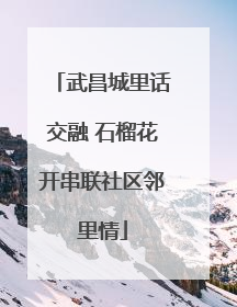 武昌城里话交融 石榴花开串联社区邻里情