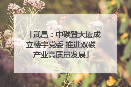 武昌：中碳登大厦成立楼宇党委 推进双碳产业高质量发展