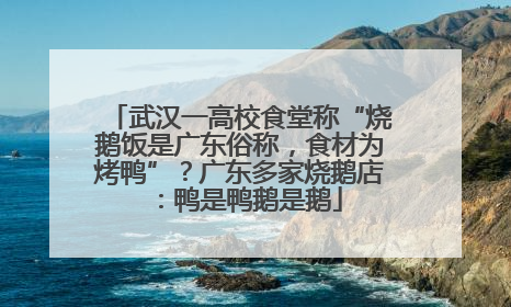 武汉一高校食堂称“烧鹅饭是广东俗称，食材为烤鸭”？广东多家烧鹅店：鸭是鸭鹅是鹅
