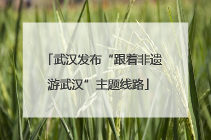 武汉发布“跟着非遗游武汉”主题线路