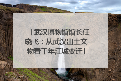 武汉博物馆馆长任晓飞：从武汉出土文物看千年江城变迁