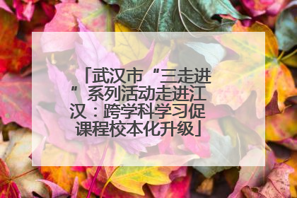 武汉市“三走进”系列活动走进江汉：跨学科学习促课程校本化升级