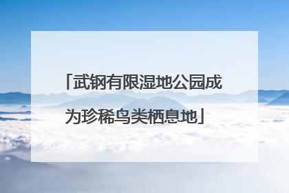 武钢有限湿地公园成为珍稀鸟类栖息地