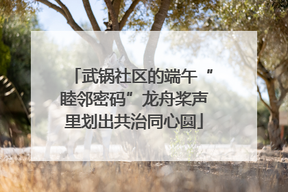 武锅社区的端午“睦邻密码”龙舟桨声里划出共治同心圆
