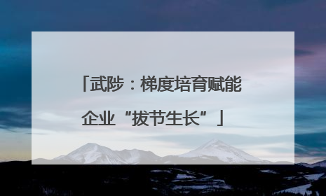 武陟：梯度培育赋能企业“拔节生长”