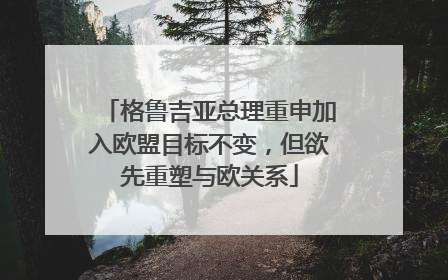 格鲁吉亚总理重申加入欧盟目标不变，但欲先重塑与欧关系