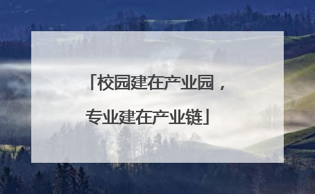 校园建在产业园，专业建在产业链