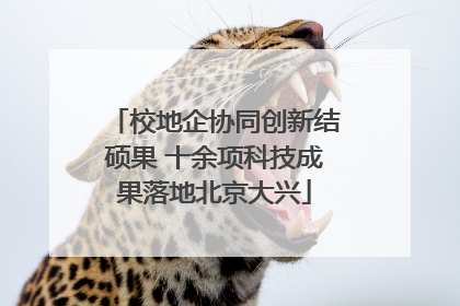 校地企协同创新结硕果 十余项科技成果落地北京大兴