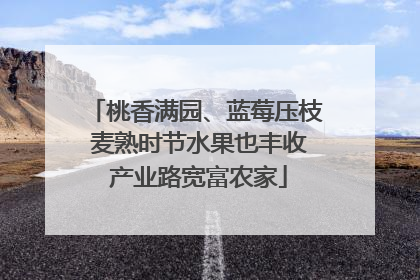 桃香满园、蓝莓压枝 麦熟时节水果也丰收 产业路宽富农家