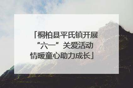 桐柏县平氏镇开展“六一”关爱活动 情暖童心助力成长