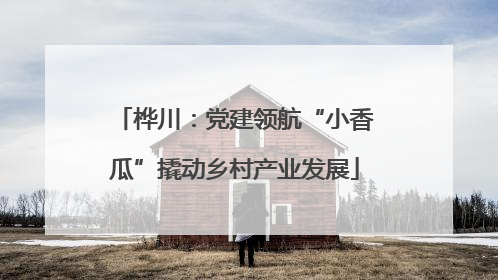桦川：党建领航“小香瓜”撬动乡村产业发展