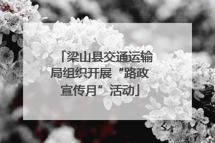 梁山县交通运输局组织开展“路政宣传月”活动