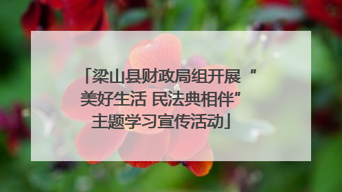 梁山县财政局组开展“美好生活 民法典相伴”主题学习宣传活动