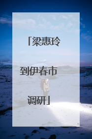 梁惠玲到伊春市调研