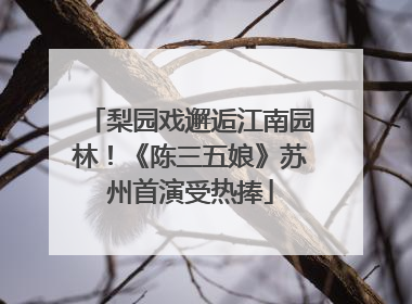 梨园戏邂逅江南园林！《陈三五娘》苏州首演受热捧