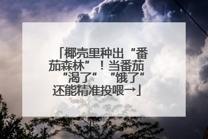 椰壳里种出“番茄森林”！当番茄“渴了”“饿了”还能精准投喂→